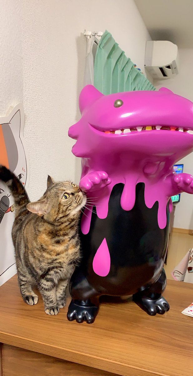 non4x8's tweet photo. むう『このこだれ?おともだち?』
#バイロン #メディコムトイ #ナカザワショーコ #山椒魚怪獣バイロン #byron #MEDICOMTOY #bigfigure #cat #new #friend #family https://t.co/7cT2wgRC5N