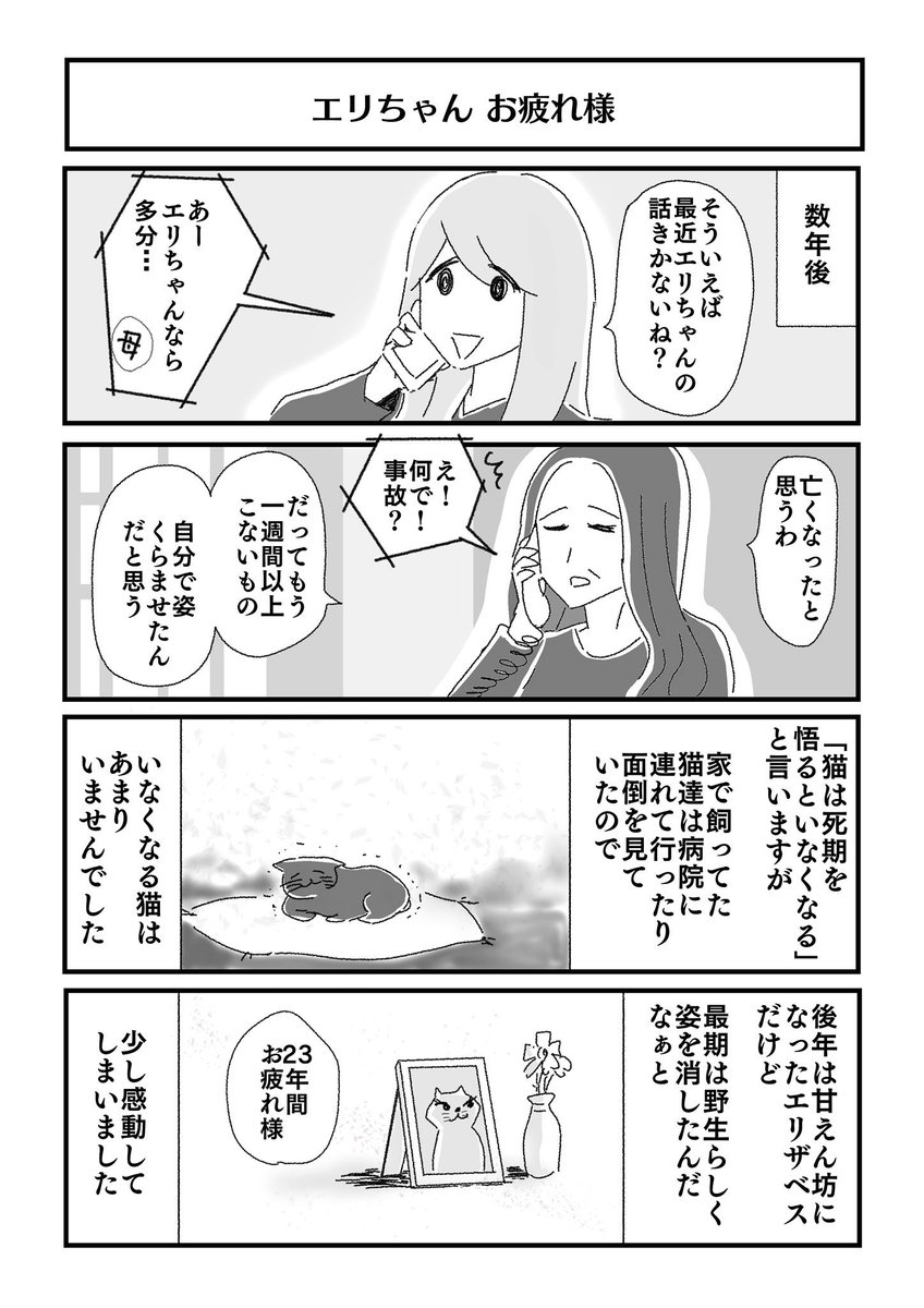 【続き】家に23年間住みついていた凶悪猫エリザベスの思い出?

#タマラんちの猫
#猫
#子猫 