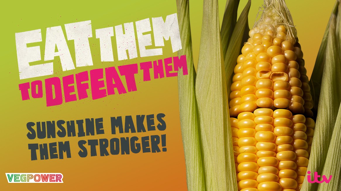 VegPowerUK's tweet image. Sweetcorn Week is here. Watch out for the #sweetcorn - sunshine makes them stronger! Show us how you are defeating them this week. #EatThemToDefeatThem @ITV_R @jamieoliver @HughFW