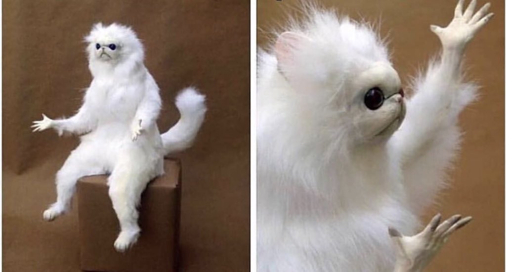 When you go to the Port Street beer quiz and the first question is “What does IPA stand for?”