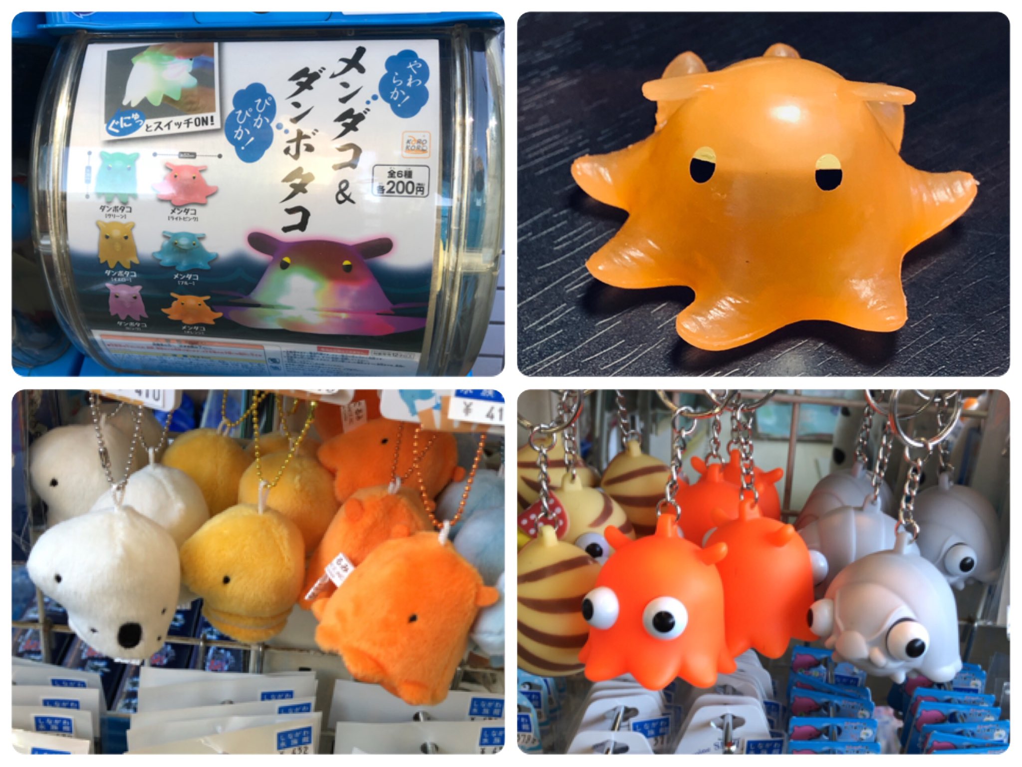 あさつ やがて君になる 聖地巡礼 しながわ水族館 品川のもう一つの水族館 規模は小さいけど魚の解説パネルが多くて水族館オタク的には超楽しめた 入ってすぐカルガモがいてびっくりしたw あ 特に深い意味はありません メンダコガチャがあったよ