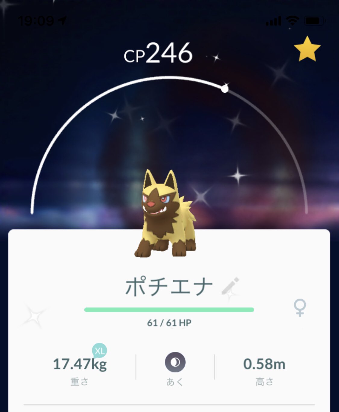 色違いココドラ Twitter Search Twitter