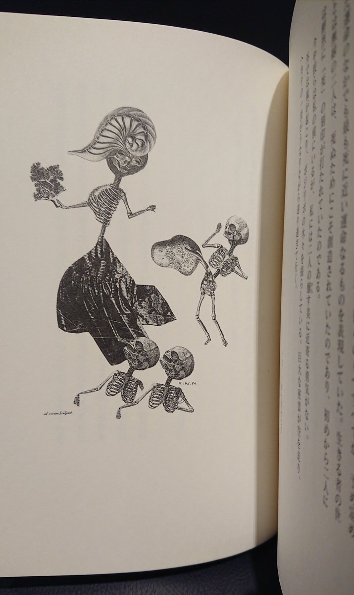 ガブリエル・ヴィットコップ『ネクロフィリア』。母の死体を抱いた時に