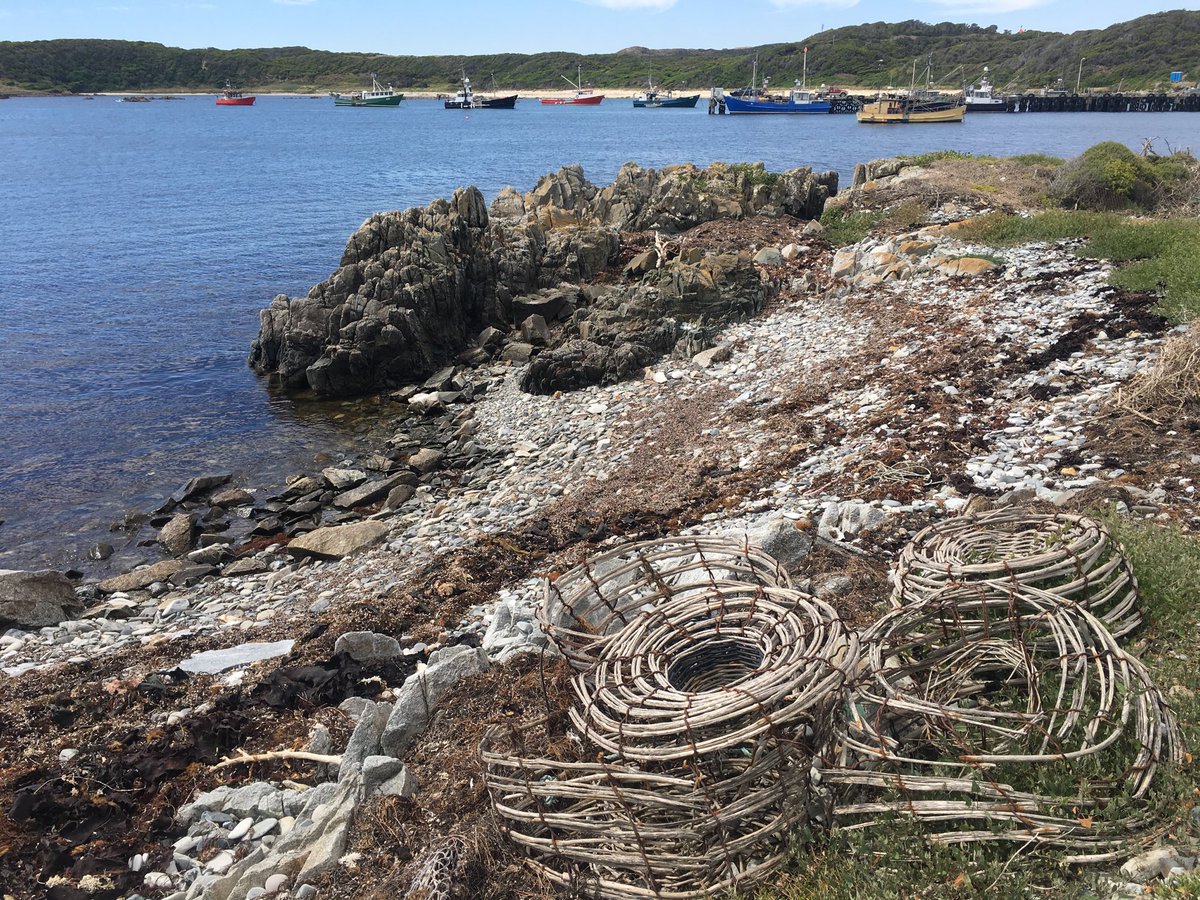 osprey2015's tweet image. A peaceful day at Currie on King Island