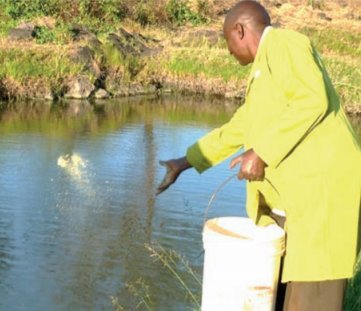 Africa Harvest Biotech Foundation International tweet media