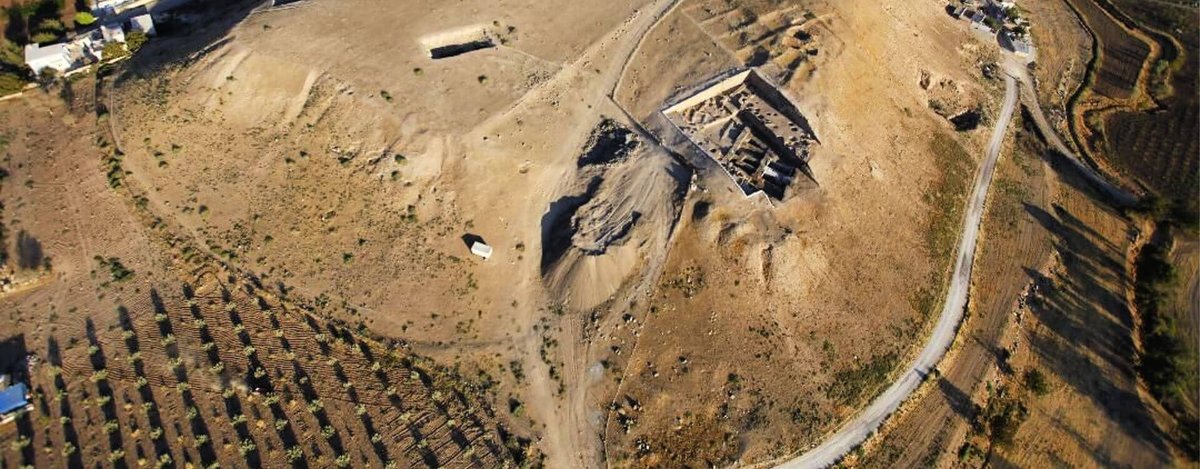 Millenary Olive Seeds Found in Important Archeological Site in Turkey.According to the archeologist Atilla Engin, the seeds are thought to be of old local olives and the reason these 4,000-year-old samples survived is that they are burned and charred.