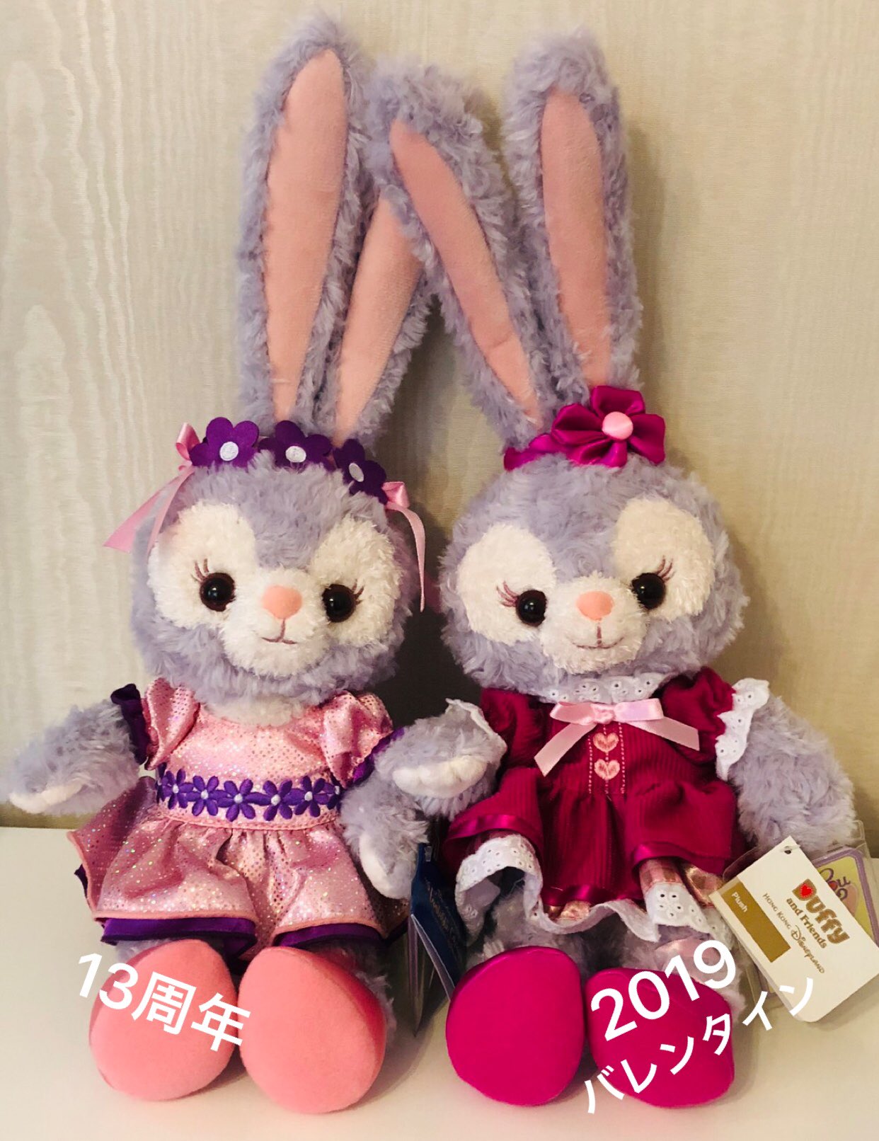 いちごみるく 香港ディズニーのバレンタイン メイちゃんとルーちゃん 今年はルーちゃんも加わって更に可愛い メイちゃん のお顔は 去年と変わって今時に ルーちゃんは去年の13周年の子と 香港の子達が増えてきた ๑ ๑ 香港ディズニー シェリー