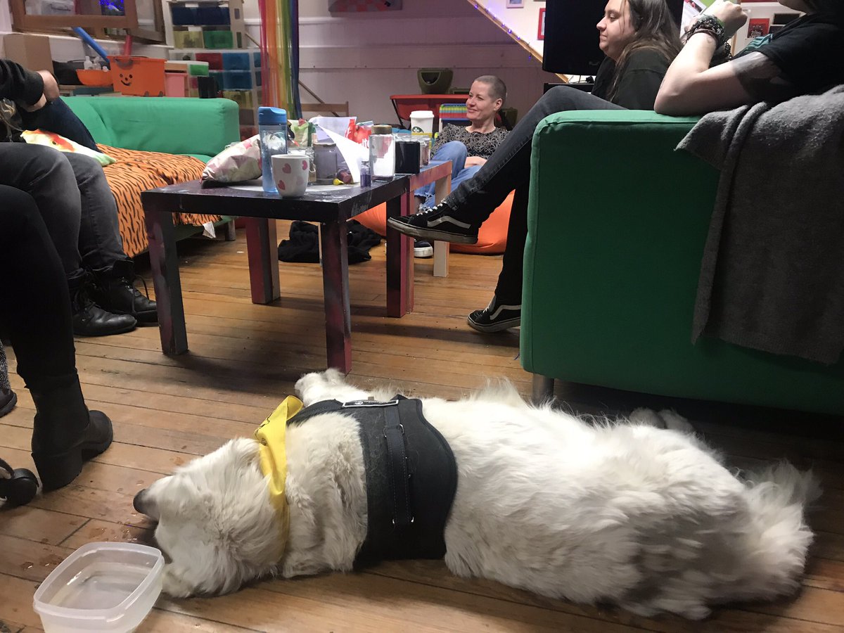 InYourCornerIYC's tweet photo. Last week we had a visit from our favourite four legged friend.. 

#SharingOurCaring #Therapets #WeCareDoYou https://t.co/Hk06qzBkjN