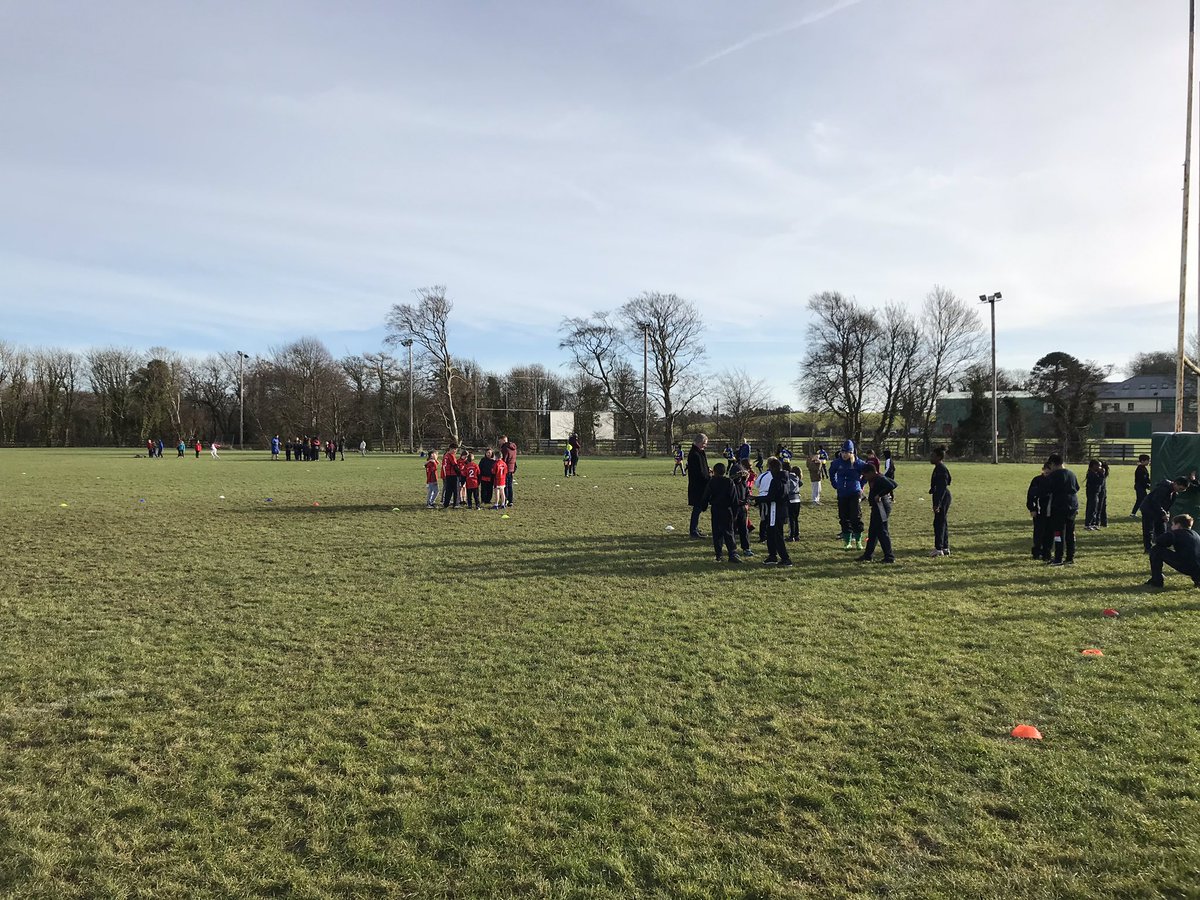 ste_costelloe's tweet photo. All kicked off in @BalbrigganRFC for the opening @LeinsterBranch @FingalSports @IrishRugby @Aldi_Ireland #playrugby blitz with over 200 kids taking part from the local community #FromTheGroundUp #futurestars #3rd4thclass https://t.co/TMNsL3dEsN