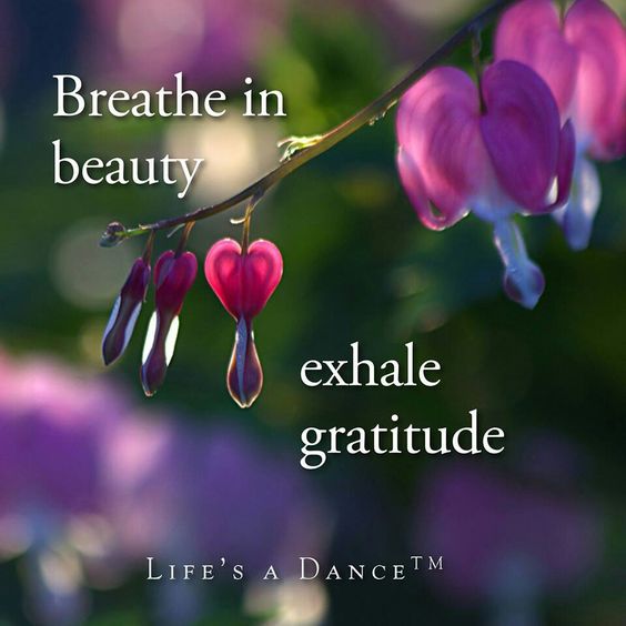 KariJoys's tweet image. Breathe in #Beauty:
Exhale #Gratitude!
#JoyTrain #Joy #Love #Mindset #MentalHealth #Quote #Quotes #Mindfulness #IAM #Blessed #spdc #ThankfulThursday #ThursdayThoughts #ThursdayMotivation #ThursdayMorning