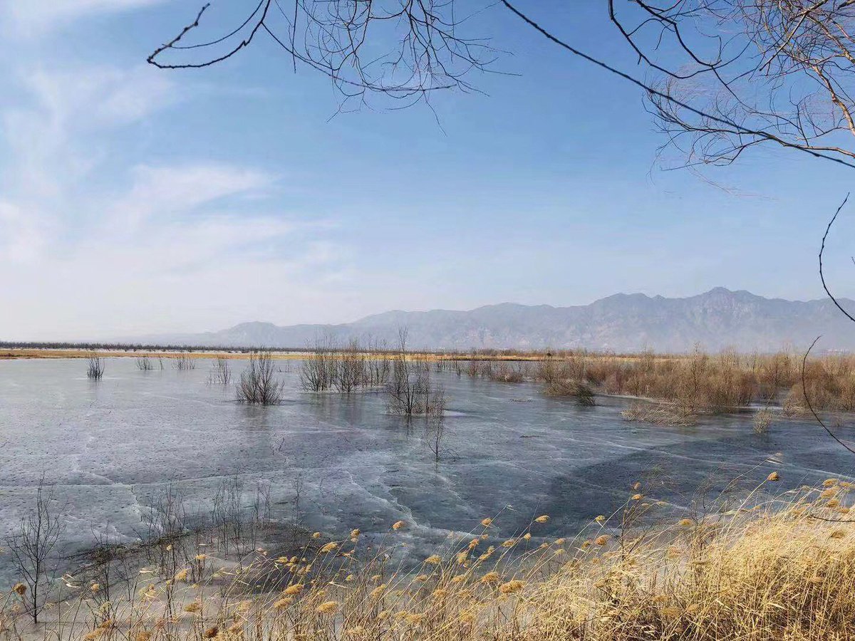 VisitBeijingcn's tweet photo. If you prefer something more soothing than ice skating at Shichahai, Yeyahu Wetland Park is ideal for you to explore wilderness in serenity as it's now transformed into a breezy utopia. #WinterInBeijing has more to do and see than you can ever imagine! https://t.co/LrTuUKBiZu