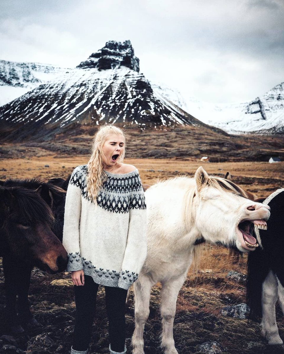 Mondays... 🐴

#Repost <a href="/kollayr/">Kolla</a>

Follow us on Instagram and tag us to be featured:
instagram.com/graylineicelan… 

#Iceland #WheninIceland #VisitIceland #horses #Monday #landscape #mountain #horses #tired #yawn #travel #travellife #outdoor #cold #lopapeysa #girl #woman #GrayLine #life