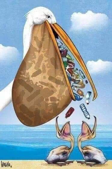 The sad truth 😞 #StopPlasticPollution #SingleUsePlastic #SayNoToPlastic #Environment