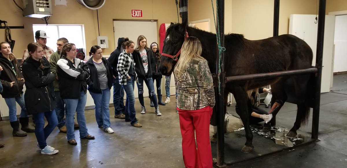 CoachMacTweets's tweet photo. AnSci Students from McDonald County FFA visited Dr Turchi today to watch a procedure on a geldings rear leg.   Awesome opportunity and we couldn't thank Doc and his staff enough! https://t.co/wuIgzUTdEM