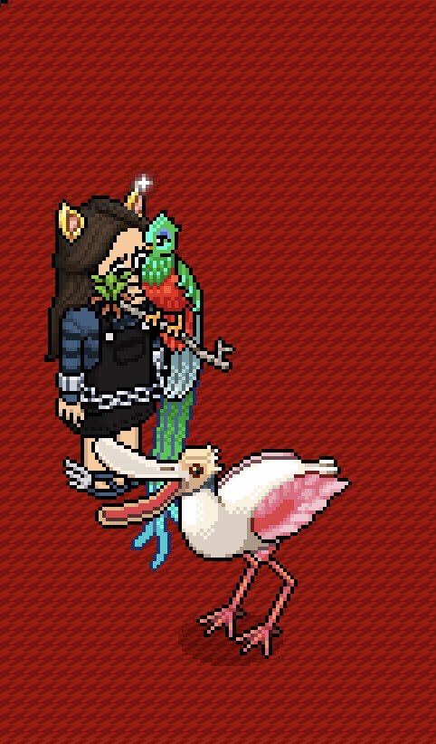 2 birds - RT and follow