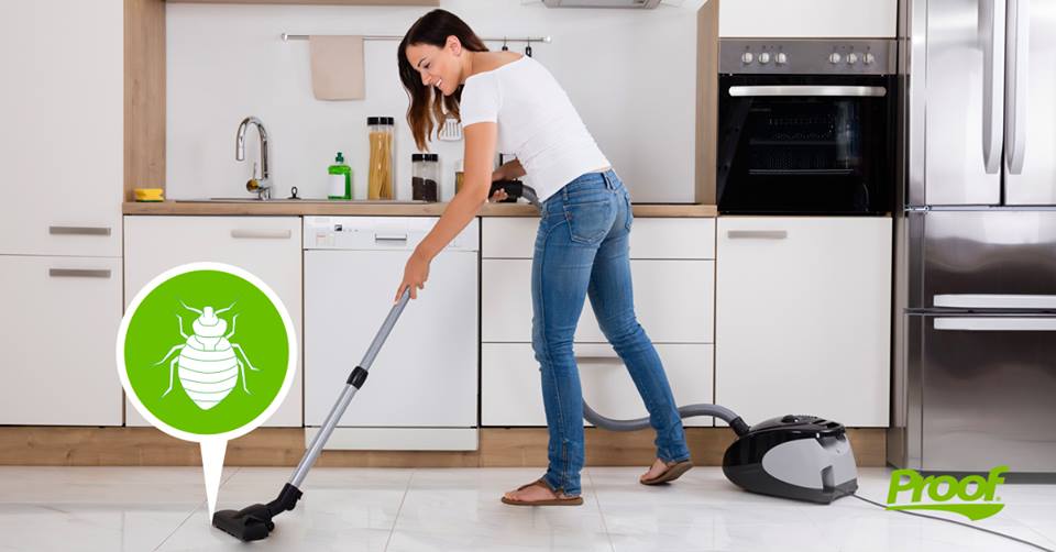 bug_proof's tweet image. Follow us for facts, tips, and advice on minimizing the risk of bed bug infestation and preventing re-infestation! 

#Bedbug #Infestation #PestControl