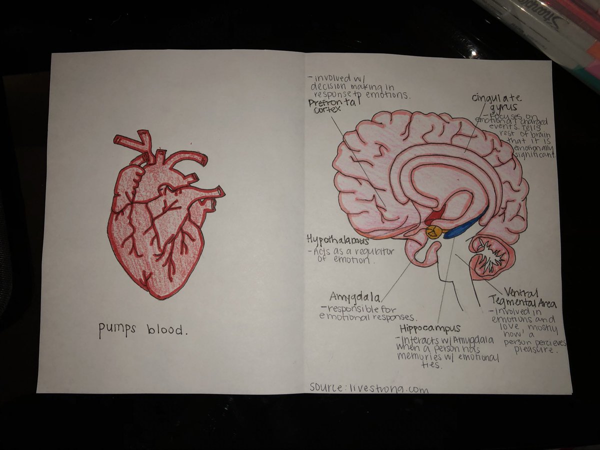 shylahgrhsbms's tweet photo. #RHSBMS science valentine ❤️ https://t.co/eRPe4QO4r4