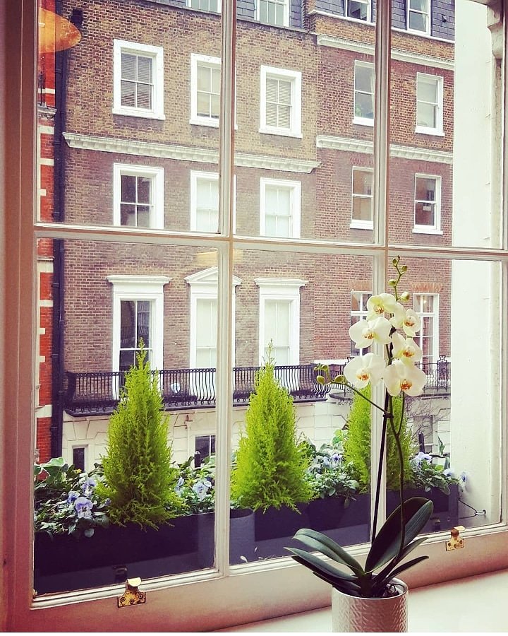 Enjoying a lovely sunny Monday in Clinic 😊
<a href="/ulianagout/">Dr Uliana Gout</a> <a href="/lam__academy/">LAM Academy</a> <a href="/lam__clinic/">LAM Clinic</a> #MondayMotivation #beauty #February2019 #harleystreet #london #marylebone #mayfair #luxury #uk #aestheticmedicine #cosmetics #happy #beautybloggers #natural #aesthetics #sunny #academy #education