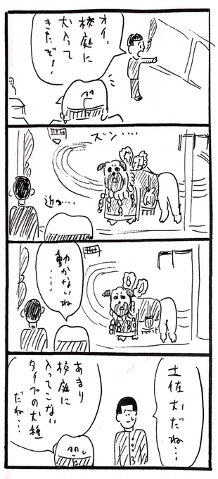 土佐犬 