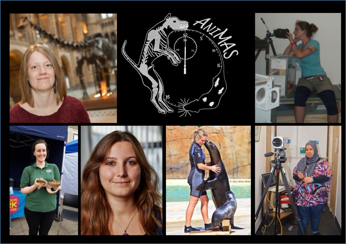 RobynAnneGrant's tweet photo. Totally want to take this opportunity and say that all our @AniMAS_lab #WomenInScience are ace! What a gang! We have a super exciting year ahead with lots of conferences, papers and thesis submissions together! @cbrassey @Meeiane @MissAlyxMilne @EmmaClear @ran777no https://t.co/2ZjUY3wZiJ
