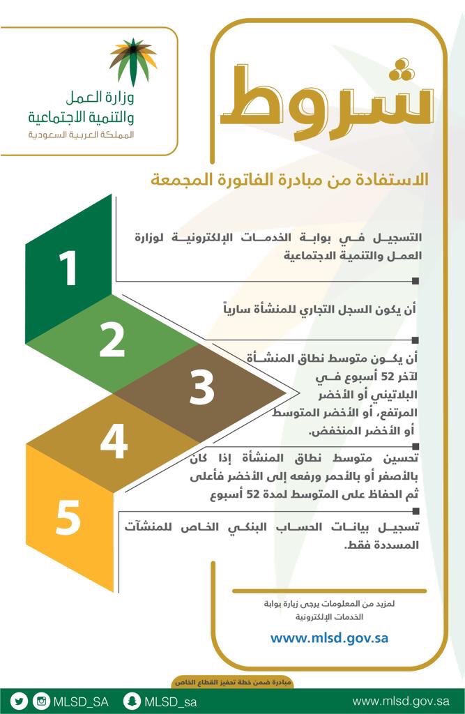 الخدمات والتنمية الالكترونية وزارة العمل الاجتماعية وزارة العمل