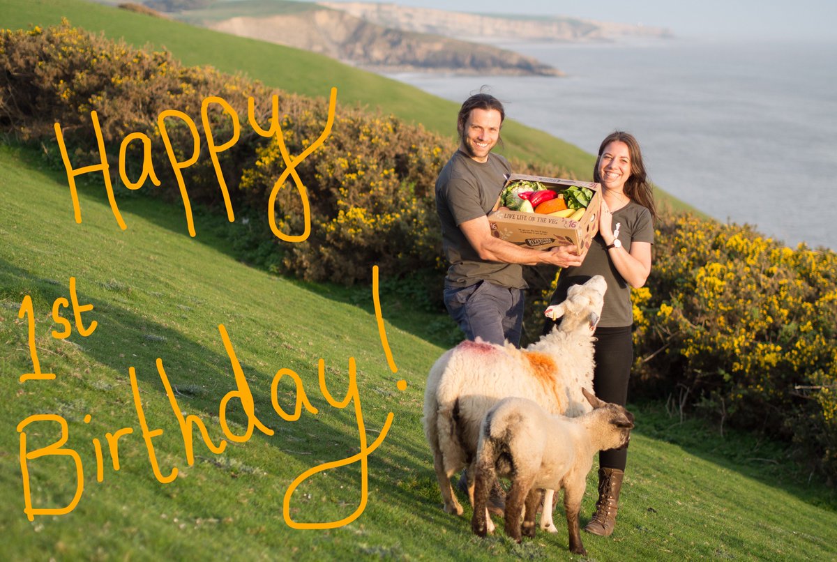 veglifewales's tweet photo. Celerybrating 1 year of delivering veg boxes! One year ago we wondered if we would manage the feat of delivering all your veg boxes but we did it. Along the way we've met lots of wonderful veg lovers &amp; are building a veg-tastic community in Wales. Thanks so much to you all 😊🥕 https://t.co/x0UHGvs4XW