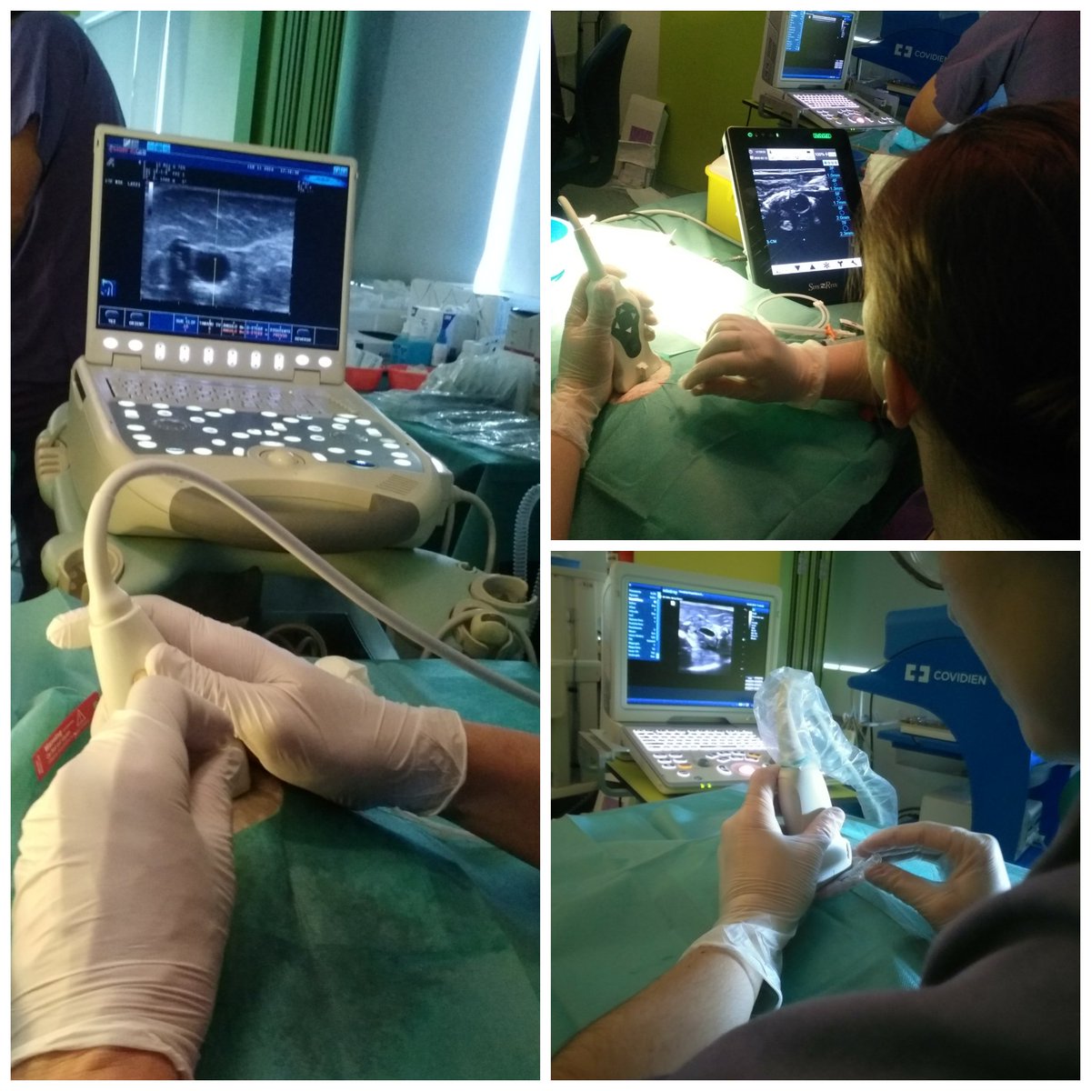CTF_ASACEC's tweet photo. Hoy, Curso de Iniciación a la Inserción Ecoguiada y Manejo de #PICC y #Midline, impartido y dirigido por profesionales de enfermería del #CHUAC 
#XXIAC https://t.co/EYUSqBJ3uu