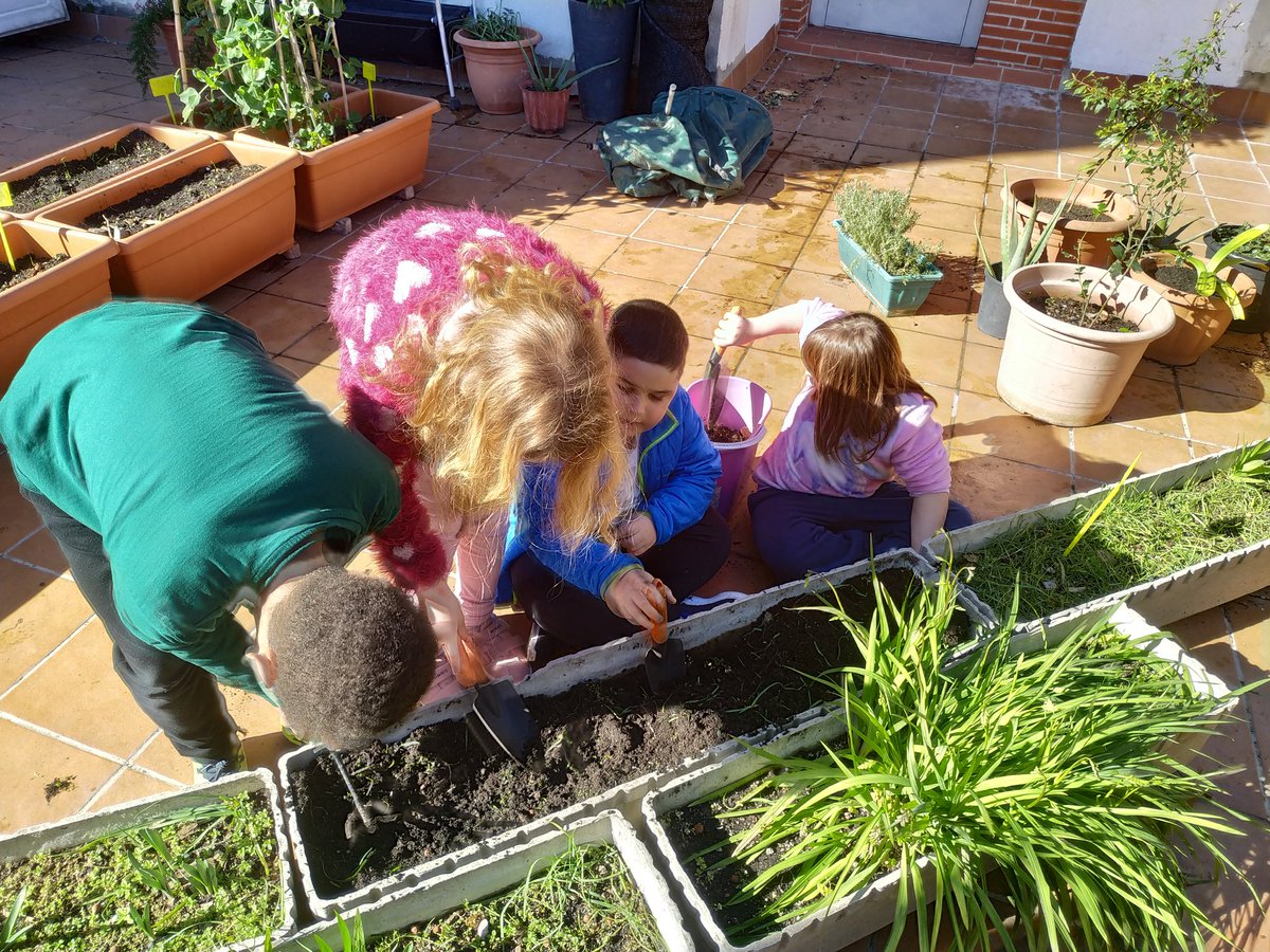 fepmontserratee's tweet photo. Avui a #ciclemitjà hem escrit tot el que hem après de les #tulipes, ja que fa poc en vàrem plantar a l'#hort de l'escola! Ja us informarem dels canvis i de tot el que descobrim! 👁🔎🌷@escolesFEP #Somescola #somFEP #experienciadirecta #tenimnouprojecte #lestulipes https://t.co/B91xiyLOWt