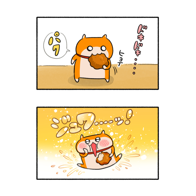 い出のひと時に、とびきりのおしゃれを! もぬこ様 入金用 1回目