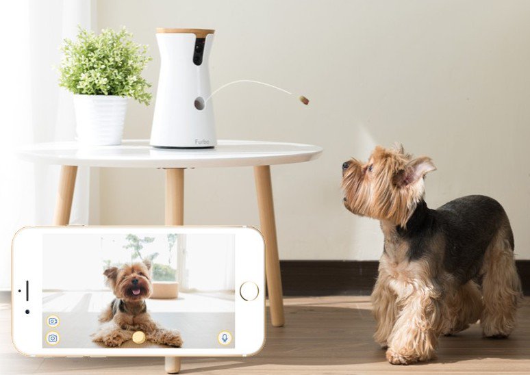 BillionsPortal's tweet photo. SAY CHEESE! 
SPY AND TREAT YOUR PETS WITH THIS FANTASTIC FURBO DOG CAMERA
Read More: https://t.co/GRRV7nxLJ8

#tech #technology #furbodogcamera #pets #doglovers #petowners #spytech #gadgets https://t.co/4vPAEFVDps