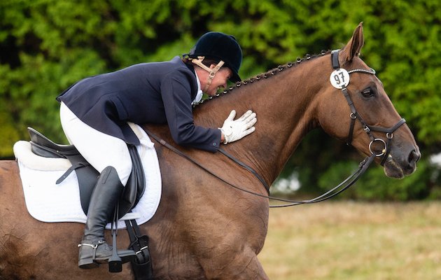 Struggling to learn and remember your dressage test? Here’s the secret to success… bit.ly/2MZZSPb