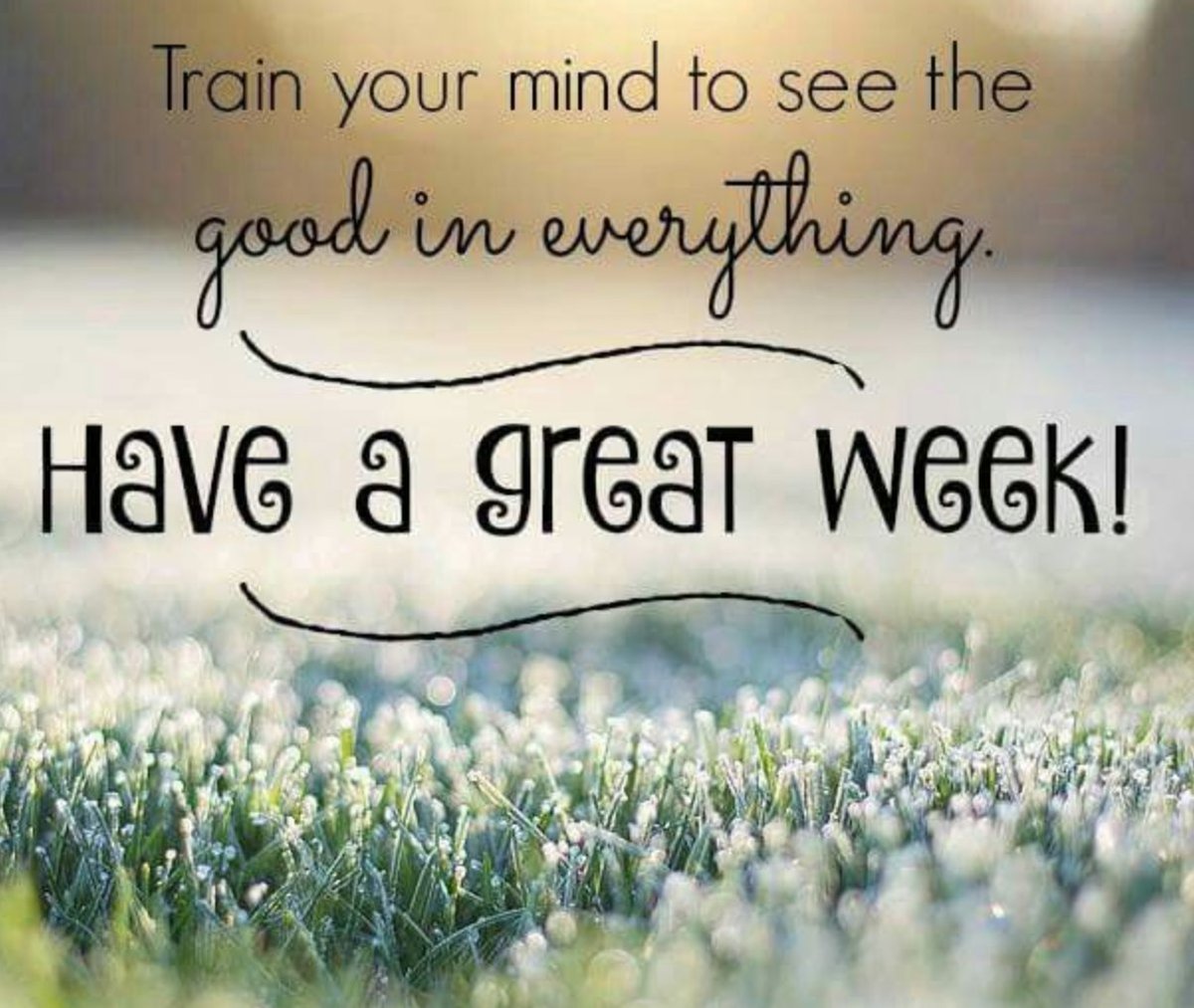 Jeremy Muse, Ed.D., MBA, SHRM-CP (@teachergrower) on Twitter photo 