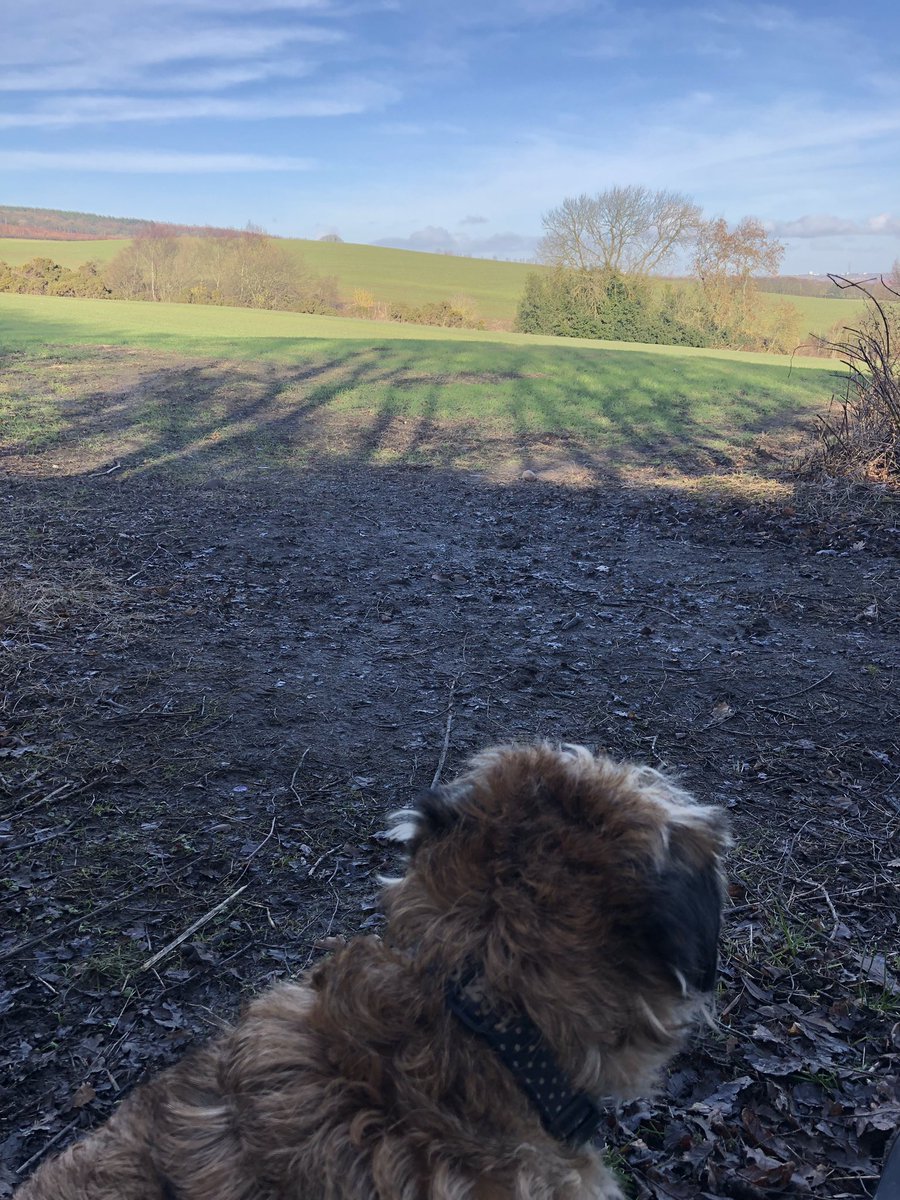 Monday adventures with Alan and Bea. Enjoying the beautiful view listening to the birds ❤️ #btposse #englishcountryside