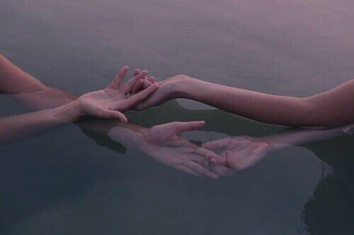 ꒰ หวายมีแมวชื่อแบบี๋ ·˚ ༘ tweet media
