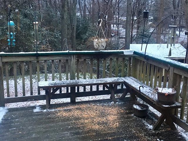 sparkplugcoach's tweet photo. The slush has been shoveled, and breakfast is now served. No reservations necessary. Fly-ins and climb-ins welcome. #snow #birds #squirrels #feedingbirds #slush #welcome #breakfast #mindfulness #quietpractice #lovewins #grateful #lifeisgood #simplepleasu… https://t.co/nsnT9HwMDG https://t.co/RRw4sDY19T