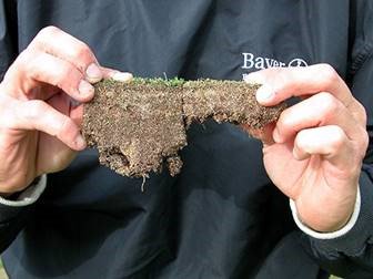 Never too early to be thinking about nematodes.  In this #GST Talking Turf, some practical nematicide advice based on the last few years of on-course use:  bit.ly/TT_02042019