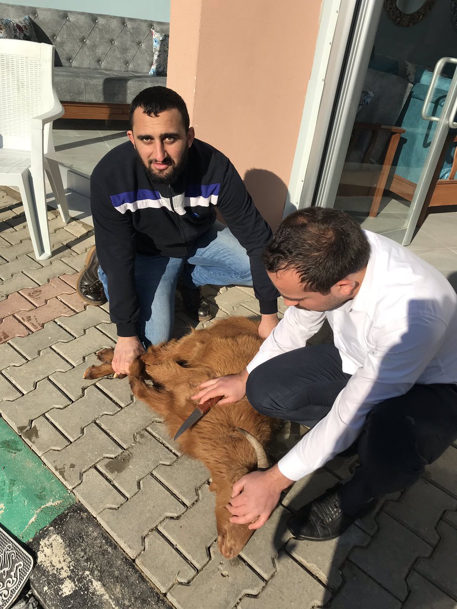 Yılmaz (@ylmaz10657909) on Twitter photo 