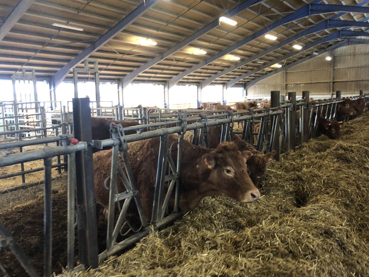 François de Rugy tweet media