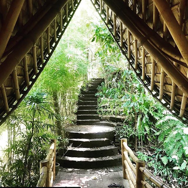 CoverLetterResu's tweet photo. Adventure is our word today🌍 
Visited The Green Village in Ubud &amp; did an 1.5 hour tour. Incredible place, the architecture blew us away. All houses completely made of Bamboo. This is the first house we visited by the river, enormous!!
🙏🏼 @greenvillag… https://t.co/GiaL9SgzwE https://t.co/kkNeDurB5v