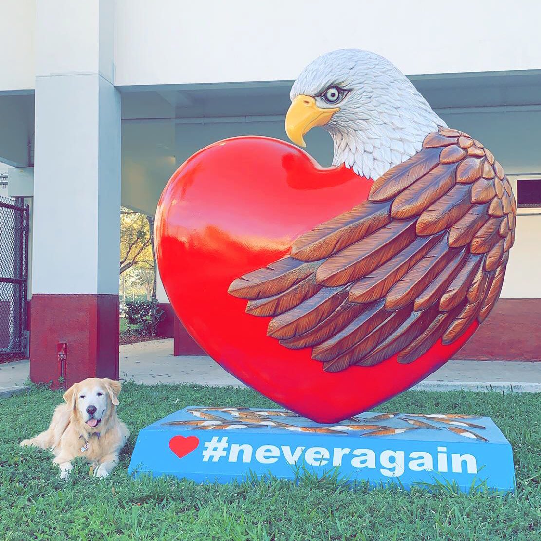 AerieYearbook's tweet image. As we begin what will be a difficult week for our community, we are grateful for the therapy dogs like Schooner that have kept us company, and the support we’ve received from all over the country. We are positive, passionate, proud. We are #MSDStrong. (photo by @kaleybito).