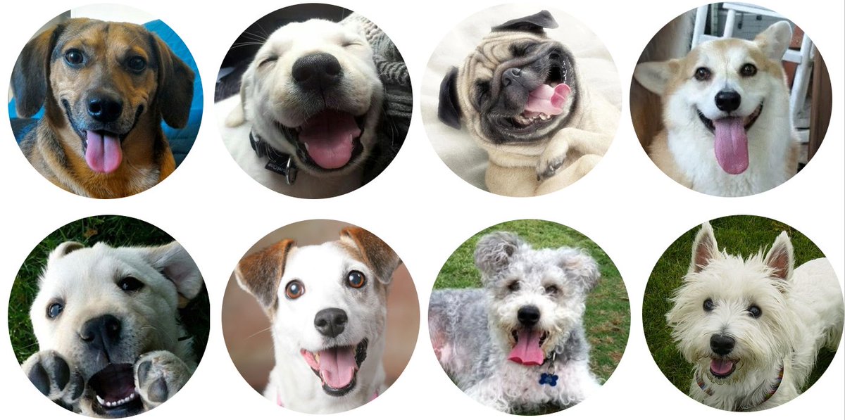 BrainMathEdu's tweet image. Building the cutest nonsense experiment in opensesame for my new online course