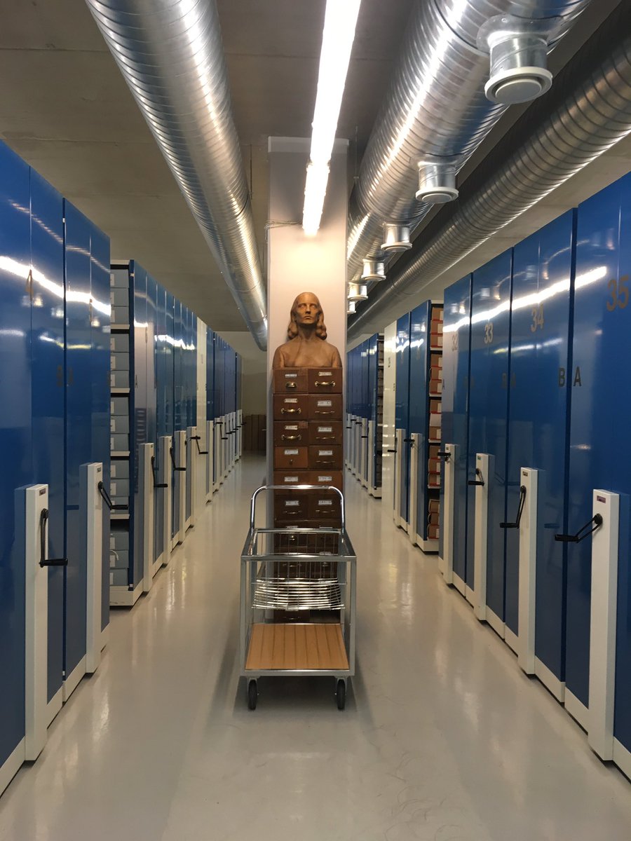 Sophia Albrecht tweet media