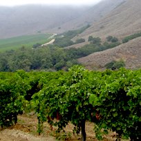 SSSA_soils's tweet photo. High School Seniors in California: If you are interested in soil science, apply for our $5000 @CaliSoils Dellavalle Scholarship by 3/27. Learn more and apply at: https://t.co/hVMfXxdQBW https://t.co/VI4ql3nevK