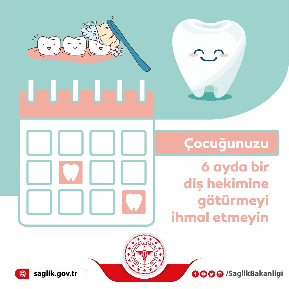 saglikbakanligi's tweet image. Süt dişlerinin erken kaybı konuşma ve çiğneme bozukluklarına yol açabilir. Çocuğunuzu 6 ayda bir diş hekimine götürmeyi ihmal etmeyin.