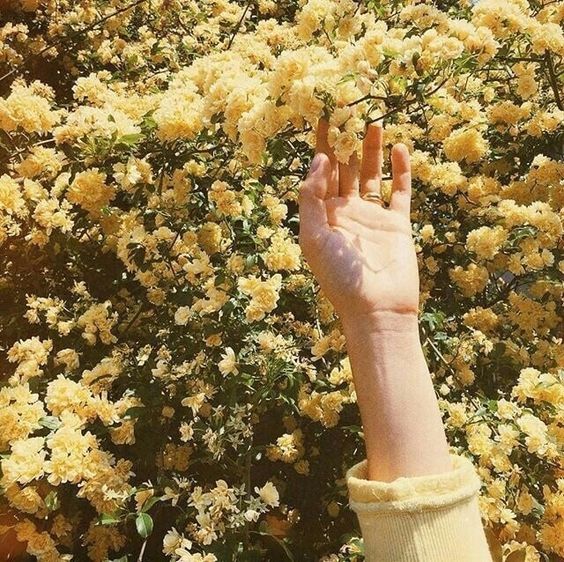 sugarmaker23's tweet photo. pls RT. [SF] Honey - BJIN

'monday taste like honey' 💛

#7dayswithBJIN #คลังฟิคสายไหม
#bjin #binhwan

♡ https://t.co/eCliqAQJFR

🙏🏻 @BINHWANTH @WinThaiFictions @ksf_ikon @BJin22960794 https://t.co/vhXOBbWQvu