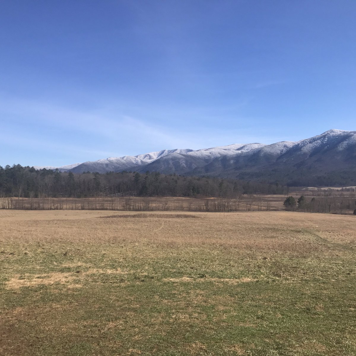 ZachHood9's tweet photo. It doesn't get much better than the Smoky Mountains! #cadescove #outdoor #hiking #mountains https://t.co/9anVhN1zPa