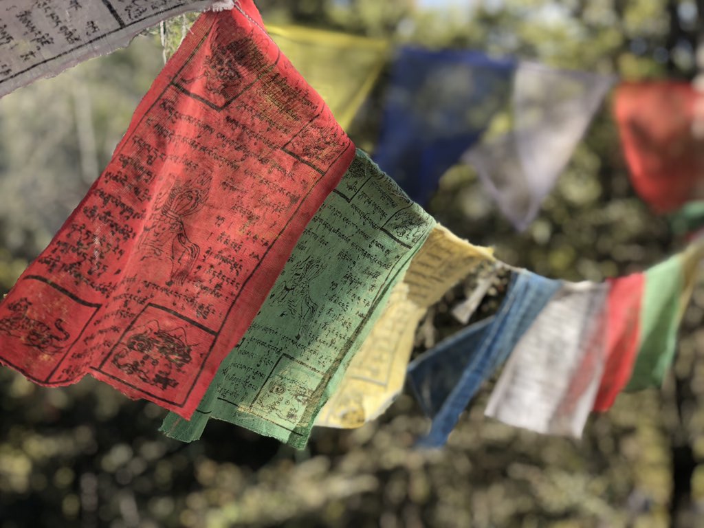 writeimtiaz's tweet image. Faces, prayer flags, pine tree #ShotOniPhone
