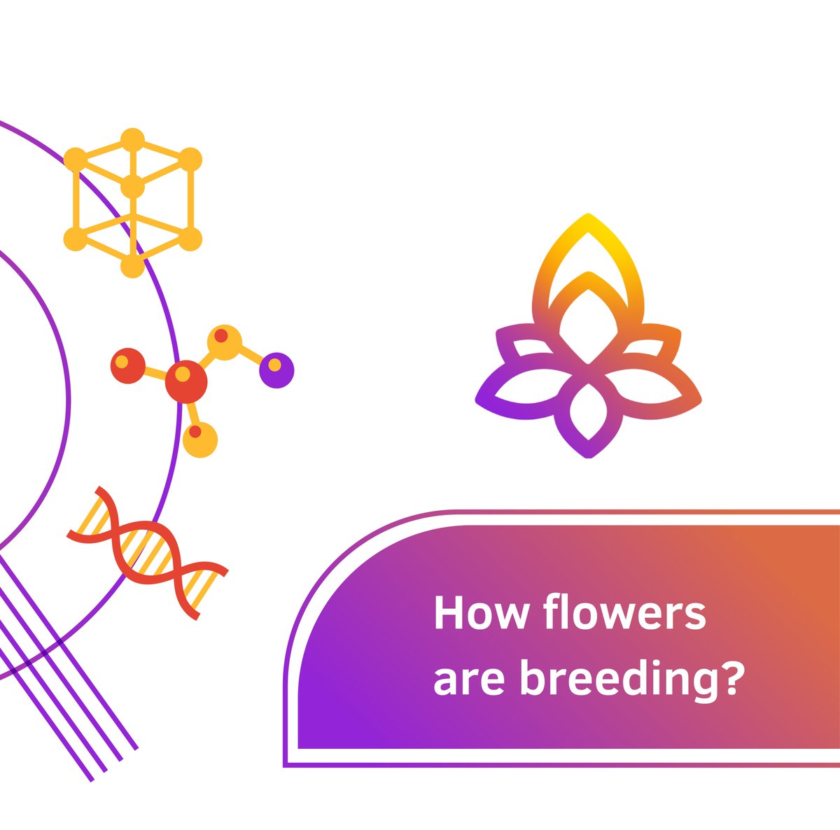 CryptoFlowers: The Mystic Garden tweet media