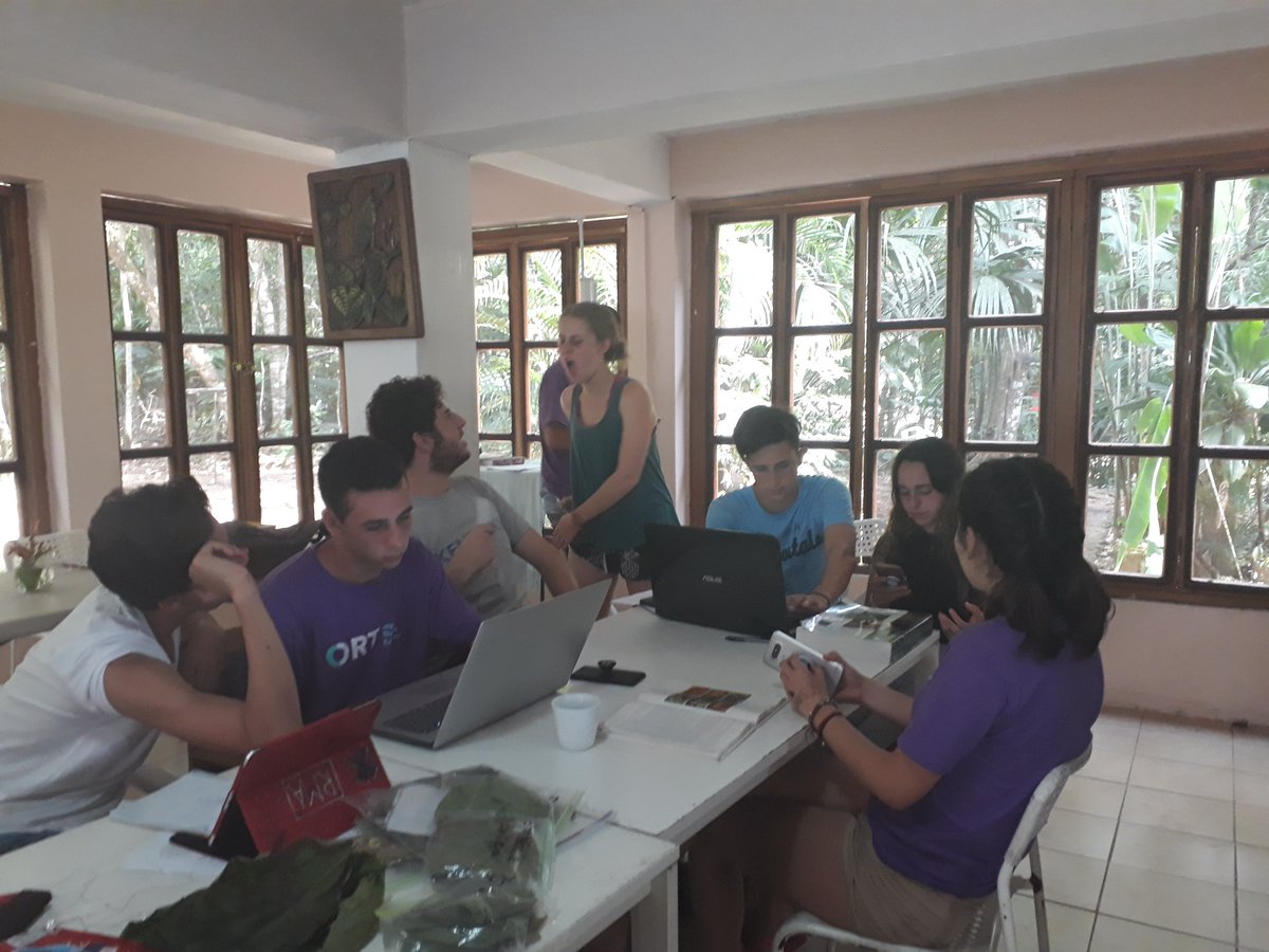 ORTenPanama's tweet photo. Trabajando en el informe de su investigación en "The Ecology Summer School" https://t.co/tPIEA9C31s