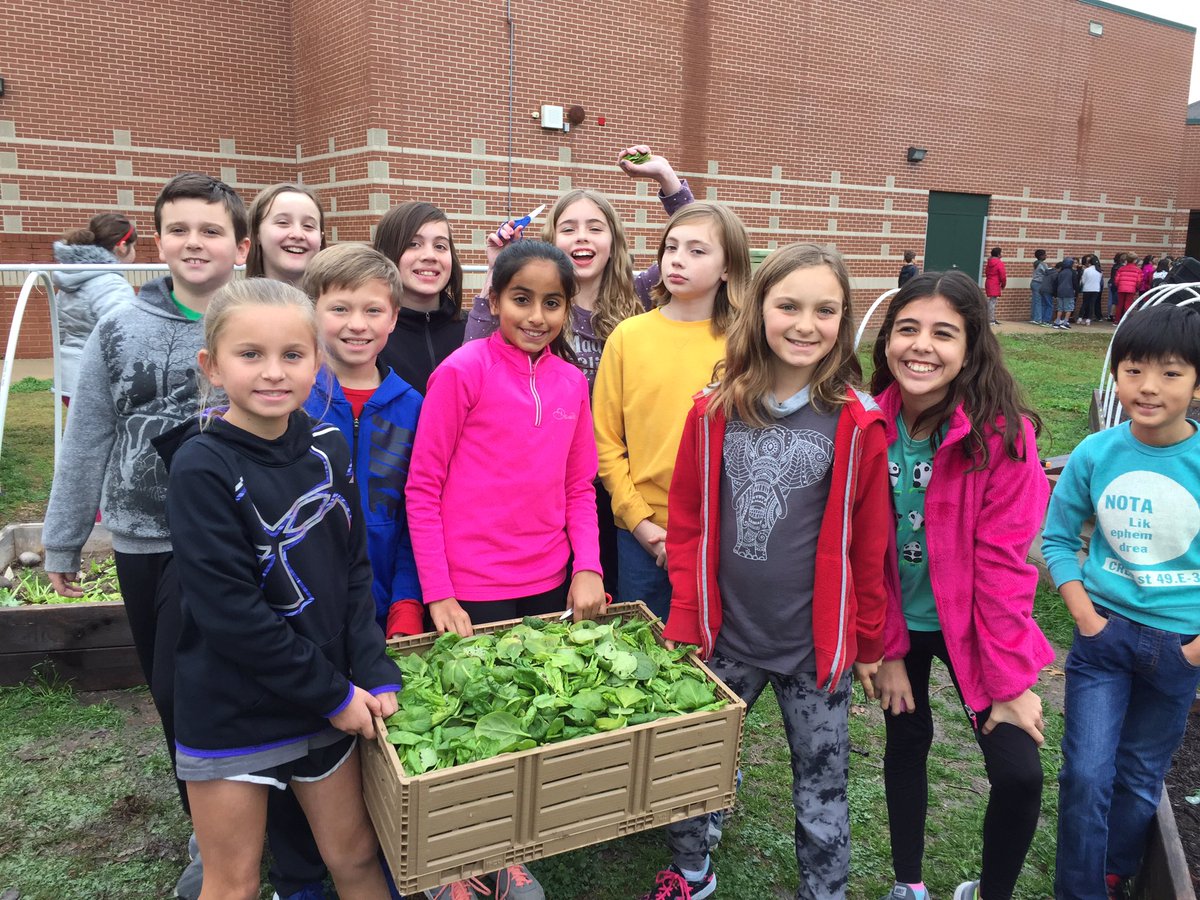 dotcooks's tweet photo. @TCEgarden @TCETexans 9# spinach harvest by 4th grade. https://t.co/6ccztIHnha